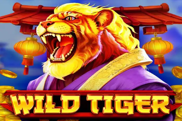 Wild Tiger slot casino